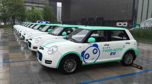 共享汽車夢碎 前重慶首富的滑鐵盧與行業反思